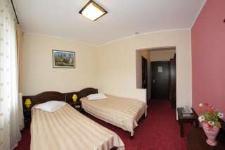 Отель Hotel Victoria Борша Двухместный номер с 2 отдельными кроватями-3